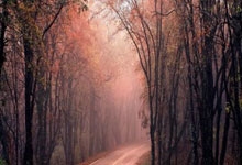 利物浦对皇马，欧冠半决赛焦点战打响