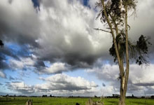 利物浦对皇马，欧冠半决赛焦点战打响