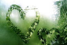 中国台北球队在大洋洲赛场上交出完美表现