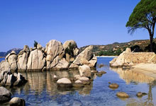 德国队实力雄厚，欧锦赛潜力无限